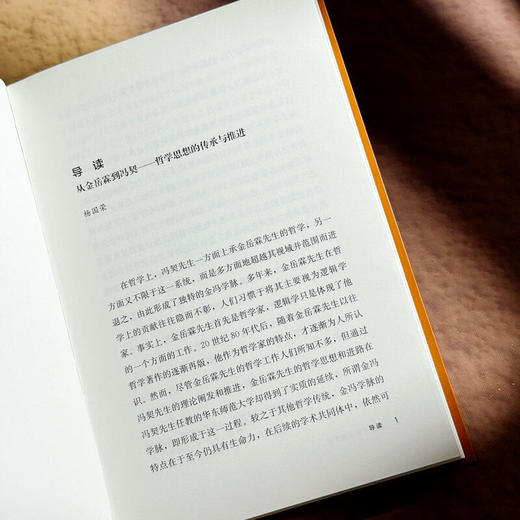 冯契讲金岳霖哲学 冯契 著 哲学 商品图4