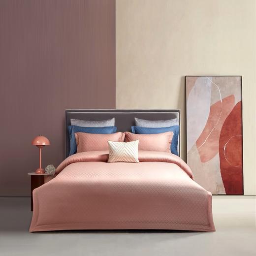 【维科家纺】180优雅奢焕-丝缇（玉粉） 商品图0