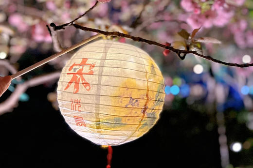 南宋风雅里的江南新春！【寒假5日亲子营】课本里的西湖、水乡乌镇、西溪渔夫体验、宋代点茶迎春、逛庙会、制灯笼、1晚夜宿乌镇西栅度假民宿、赴一场南宋风雅里的江南新春 商品图11