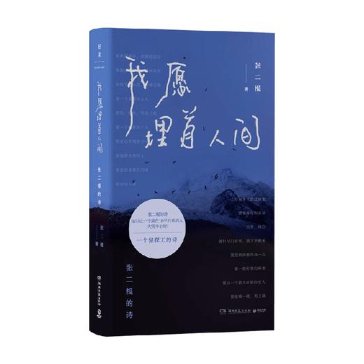 我愿埋首人间 张二棍的诗 张二棍 著 诗歌词曲 商品图0
