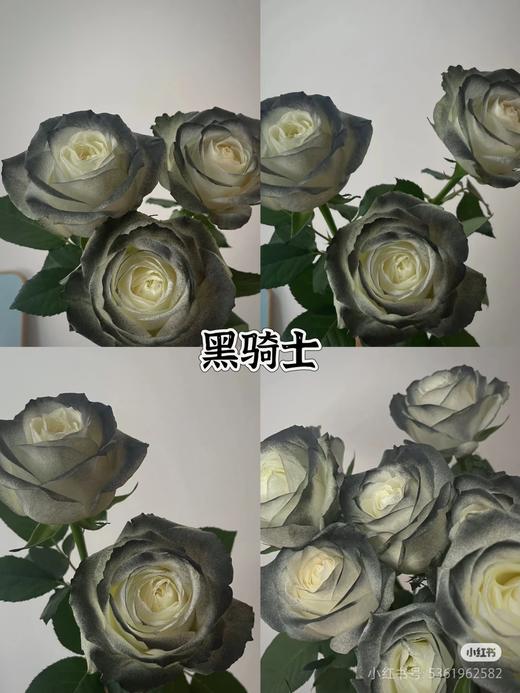 花的颜色喷漆 商品图1