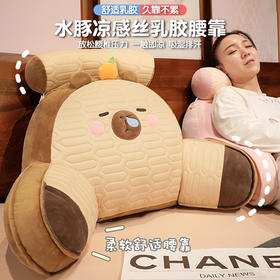 自然醒卡皮巴拉乳胶拥抱式腰靠护颈护腰靠枕靠背沙发抱枕床上看书孕妇枕头QYL