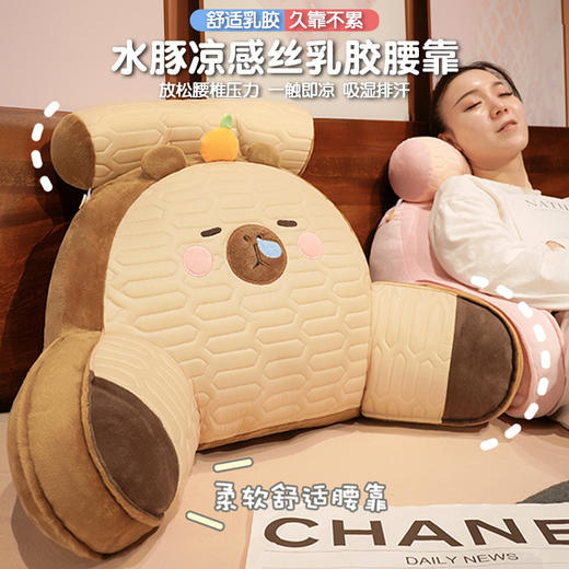 自然醒卡皮巴拉乳胶拥抱式腰靠护颈护腰靠枕靠背沙发抱枕床上看书孕妇枕头QYL 商品图0