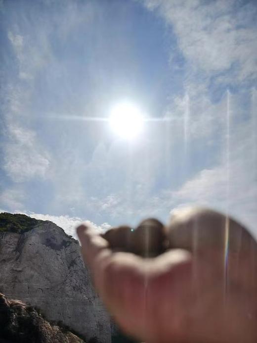 香丸投放链接 商品图0