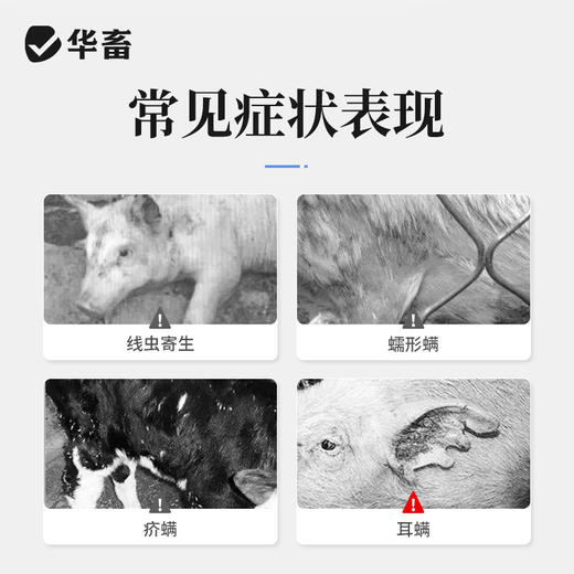 华畜兽药 伊维菌素注射液10支 含量高用量省 体内外驱虫 商品图1