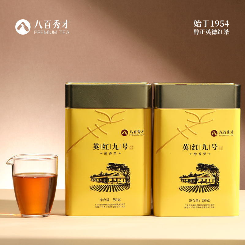 【品牌经典】八百秀才醇香型英红九号罐装500g