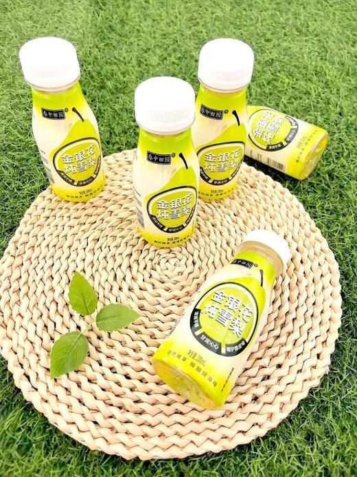 19.9抢10瓶金银花炖雪梨饮料天然草本口感清润不甜腻金银花雪梨配料表干净基地直邮 商品图2