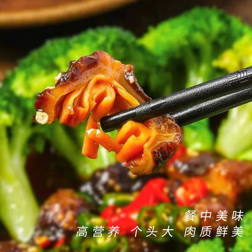 【冰岛野生北极红参】冰岛纯净海域远离污染，参筋粗壮参肉肥厚不挂冰！ 商品图5