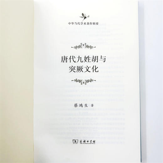 唐代九姓胡与突厥文化(中华当代学术著作辑要) 商品图5