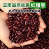 平价优选：滇缅老山老品种红腰豆一级货，沙！绵！甘！香！滋！60年代老味道，别处难以比拟！ 商品缩略图0
