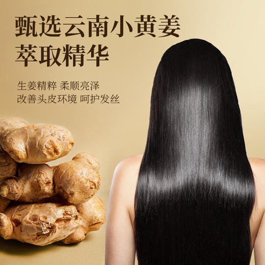 萃植精生姜洗发水 去屑蓬松草本洗头膏老姜王洗发露 护发生姜洗发水 商品图1