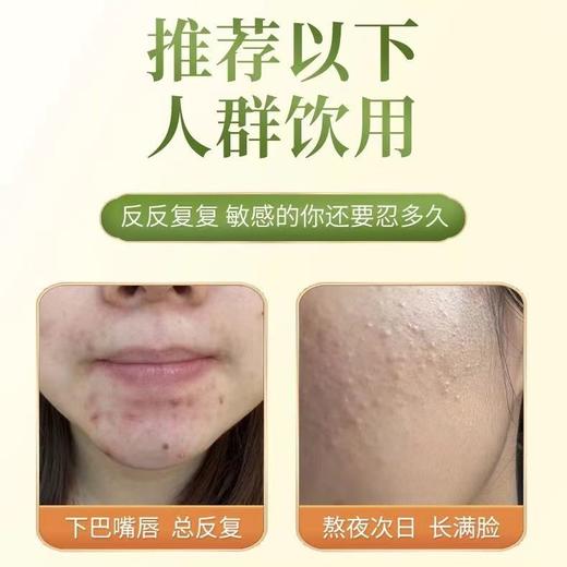 蒲公英金桔茶 金银花决明子茶三角茶包温和内调养生茶 商品图1