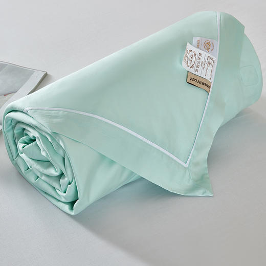 【维科家纺】琼芳可水洗天雪棉双宫桑蚕丝夏被-蔚蓝 商品图4