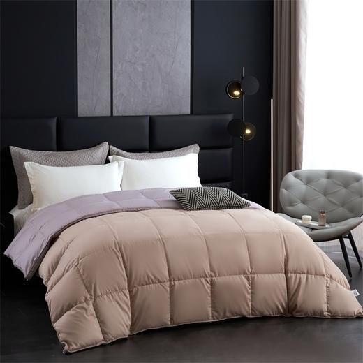 【维科家纺】臻棉匈牙利磨毛大白鹅绒四季被 商品图2