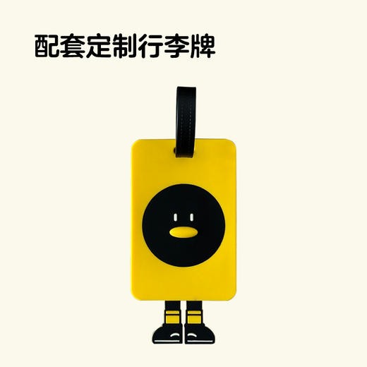 IPENGOO宽拉杆双海关锁20寸行李箱 商品图2