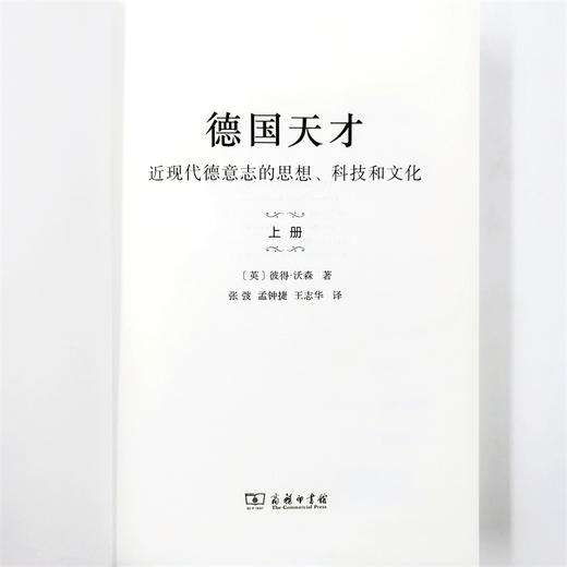德国天才:近现代德意志的思想、科技和文化(上下册)〔英〕彼得·沃森 著 张弢 等译 商务印书馆 商品图7