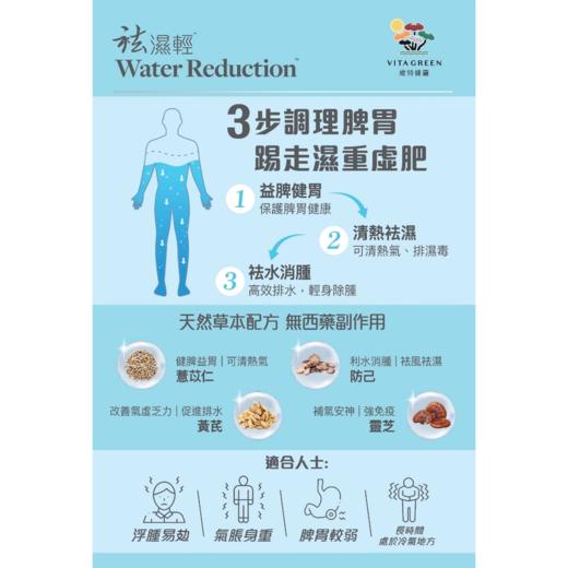 维特健灵Vita Green 祛湿轻40粒 商品图2