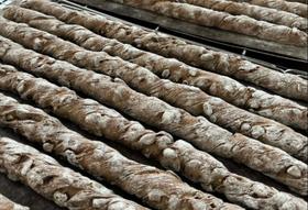 蜂蜜坚果能量棒（12点以后可取）