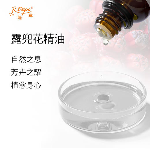 露兜花精油 印度进口单方精油原料批发芳疗护理个人DIY按摩大篷车 商品图1