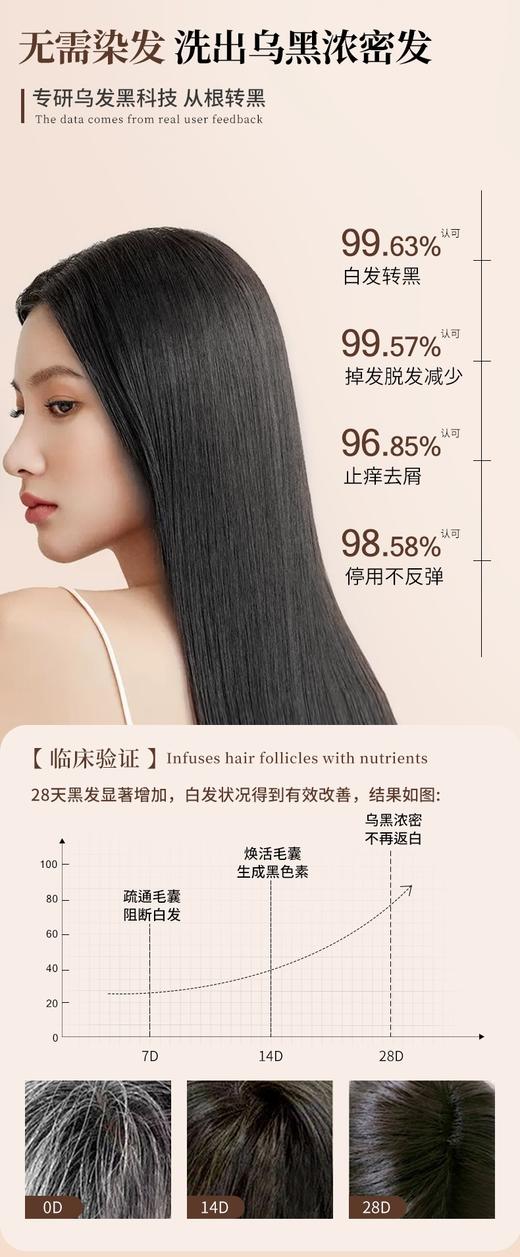 【Orginese-何首乌人参净澈头皮毛囊洗发水】草本配方十现代科技，滋养黑发根 温和不伤头皮，-瓶下去 洗出乌黑发深层滋养不用染发 商品图3