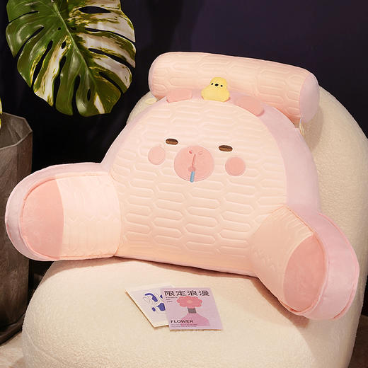 自然醒卡皮巴拉乳胶拥抱式腰靠护颈护腰靠枕靠背沙发抱枕床上看书孕妇枕头QYL 商品图12