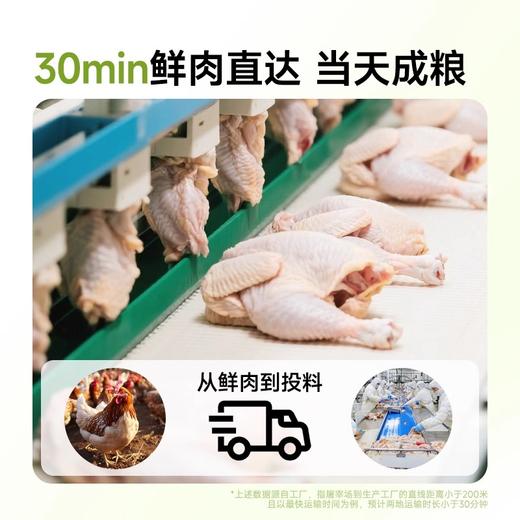 耐威克鲜肉无谷猫粮【美毛和减少掉毛】鱼油+鲜鸡肉配方 商品图2