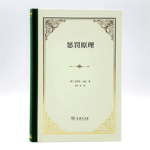 惩罚原理(精装) 商品图1