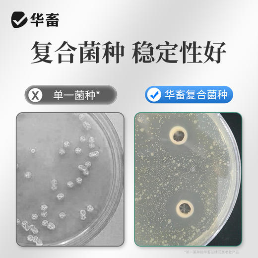 华畜益生菌兽用牛羊禽EM菌种种植发酵剂有机肥菌粉水产养殖专用液 商品图3