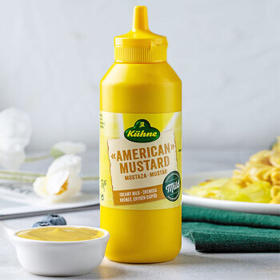 冠利（KUHNE）德国进口 美式黄芥末调味酱255g  汉堡炸鸡蘸酱芥末 蔬菜沙拉酱 /粮油调味 /调味品 /西式酱料