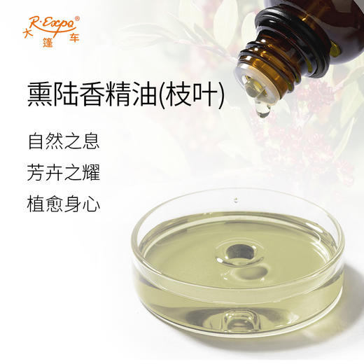 熏陆香精油（枝叶）希腊进口单方精油原料批发芳疗护理调香 商品图1