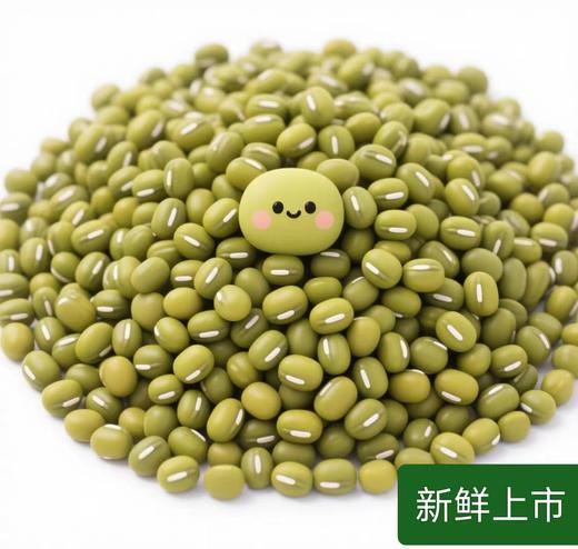 平价优选：滇缅老山老品种绿豆一级货，60年代老味道，清！细！甘！润！别处难以比拟！ 商品图1