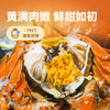【2两六月黄全公醉蟹   限时特价】新孟河全公六月黄醉蟹    600g/盒   4只/盒   1.7-2.1两/只   流心蟹黄   顺丰速运 商品缩略图6