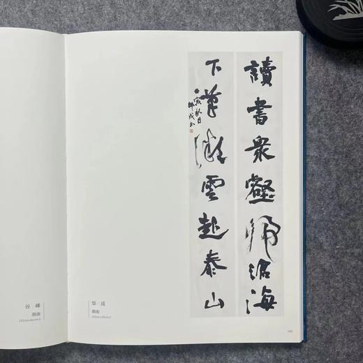 全国第九届楹联书法作品展览作品集 商品图1