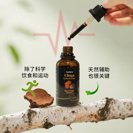 丹麦Camette凯麦特 白桦茸浓缩原液50ml/瓶 商品图4