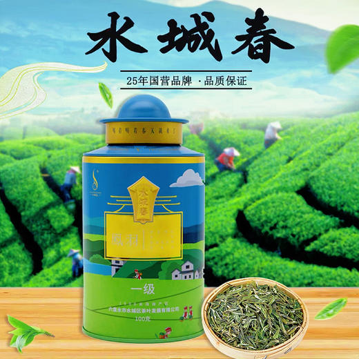 疯抢中！！免费试喝！【贵州富硒有机凤羽茶】有机+地理标志认证 新鲜回甘 100g铁罐/240g精美手提礼盒(赠3g试喝装) 商品图0