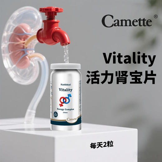 丹麦Camette凯麦特 新升级活力肾宝   120粒/瓶 商品图2