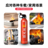 【森哥优选】车载家用灭火器 水基耐高温防爆私家车用便携年检消防器材3C认证*620ml 商品缩略图8