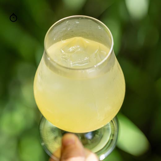 【积分兑换】Lubelski波兰苹果酒 冻梨酒小瓶装 甜美清爽  聚会甜酒 商品图1