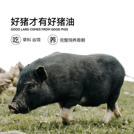 黑猪猪油 古法火炼满熬香气浓郁营养健康300g/罐 商品图2