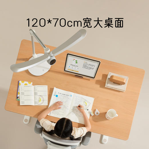 【桌柜灯一体】2平米纯实木高书架阳光一体桌学习桌椅套装120*70厘米宽大桌面~~~平板阳光桌预售约1月底发货 商品图4