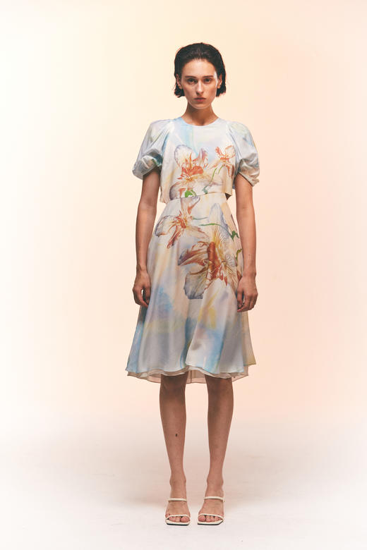 幻彩花印花腰部镂空连衣裙 商品图2