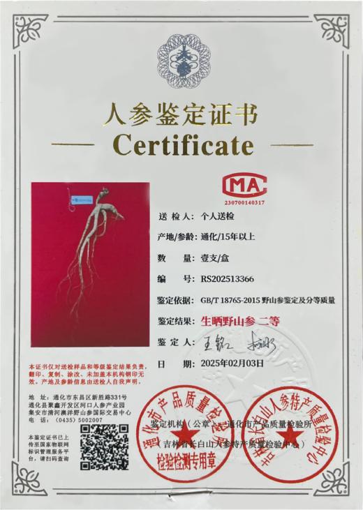 千年珍长白山二等野山参3A礼盒装干参生晒野山参18g/盒 商品图4