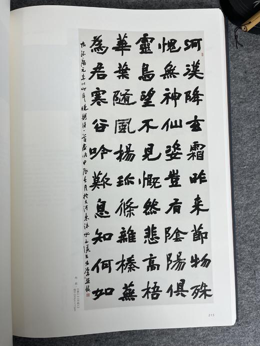 【第八届中国书法兰亭奖作品集】 商品图3