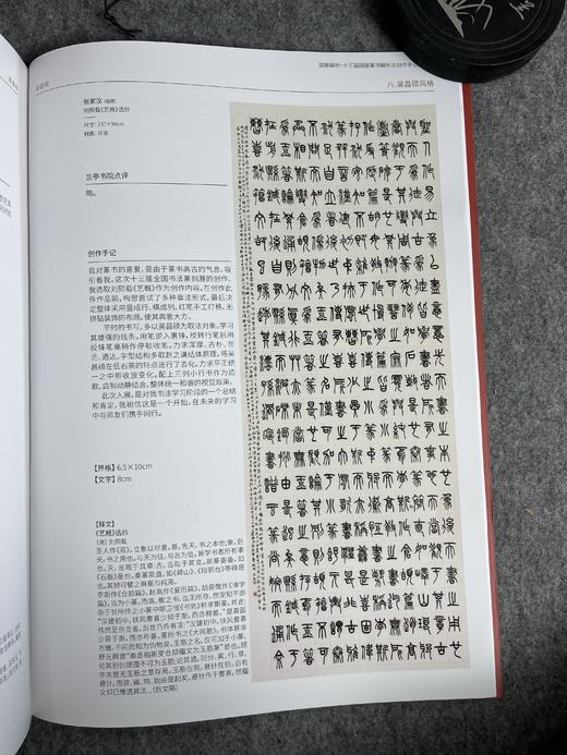 【国展内参-全国第十三届书法篆刻展篆书解析与创作手记】 商品图1