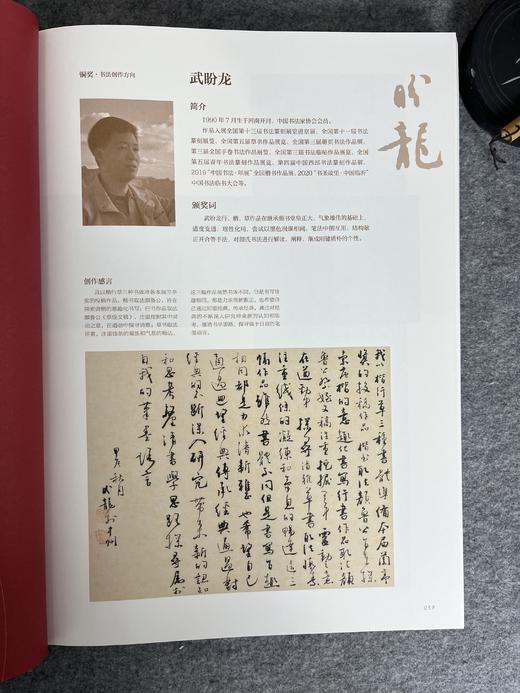 【第八届中国书法兰亭奖作品集】 商品图10