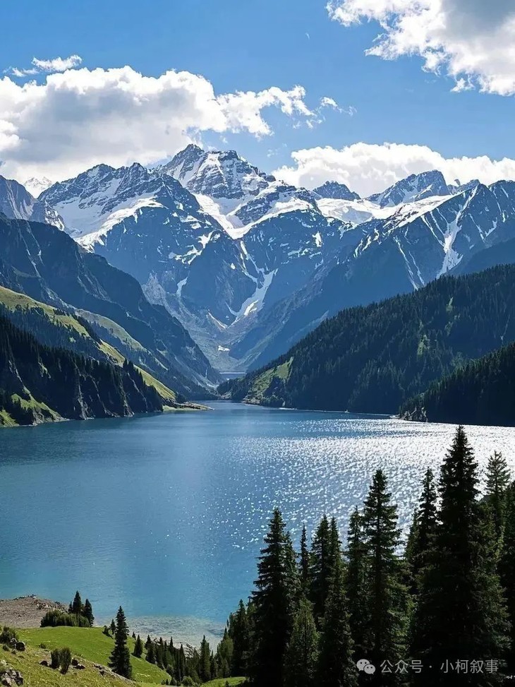 8月新疆天山雪峰下的绿色草原, 蓝天白云, 牛羊悠闲吃草, 远山皑皑白雪, 画面壮美辽阔, 高清摄影