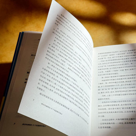 跨学科课程的10个创意教学设计 叶王蓓 立足新课程标准 中小学案例 商品图7