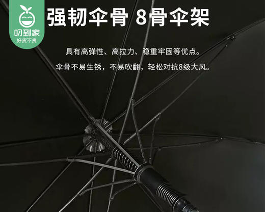 wuyouwulv自动直柄贵宾伞（黑色）/1把补单专用 商品图4