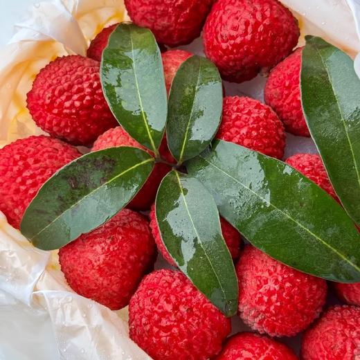 石家庄优选仓库速达 ，蜜麒麟.冰荔，又名红蜜荔，果肉肉质细腻无渣，清甜带蜜味，风味浓郁 ，净重 2.5斤礼盒装 商品图5