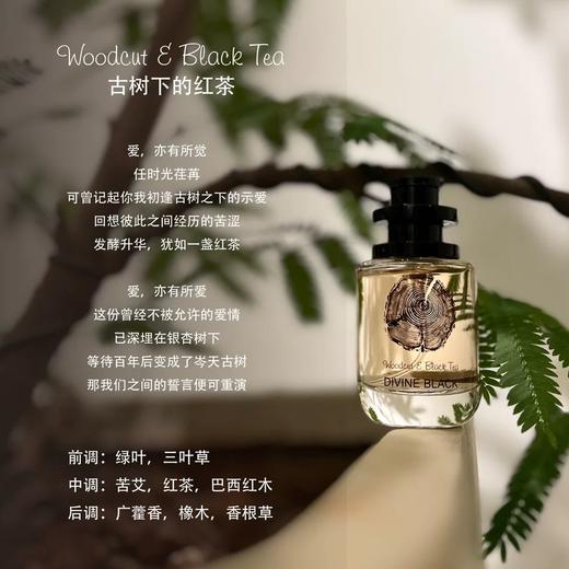 小众香水【DIVINE BLACK天赐之幕】精选4款香型～💓会讲故事的香水，盲撸也不出错❗️独特原创调香〰️自带高级感 商品图1